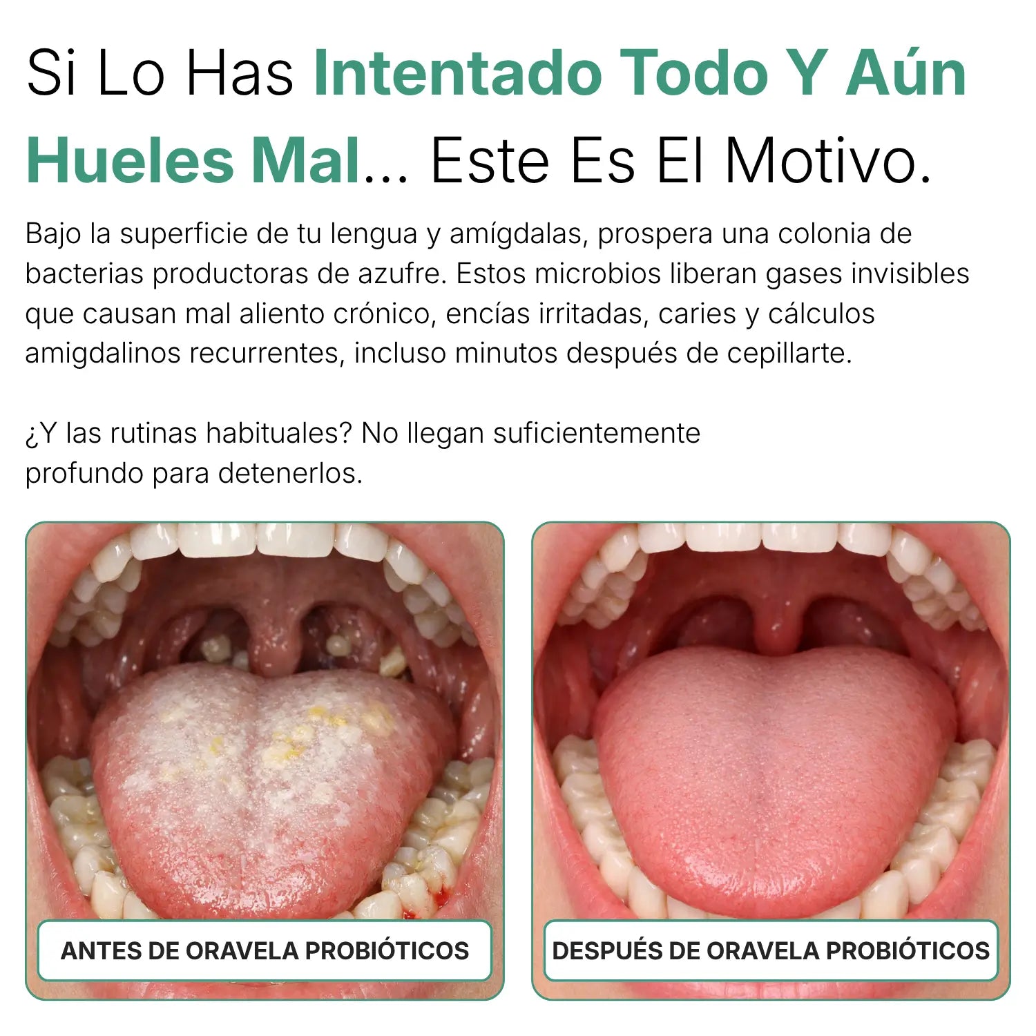 Probiotico orale Oravita