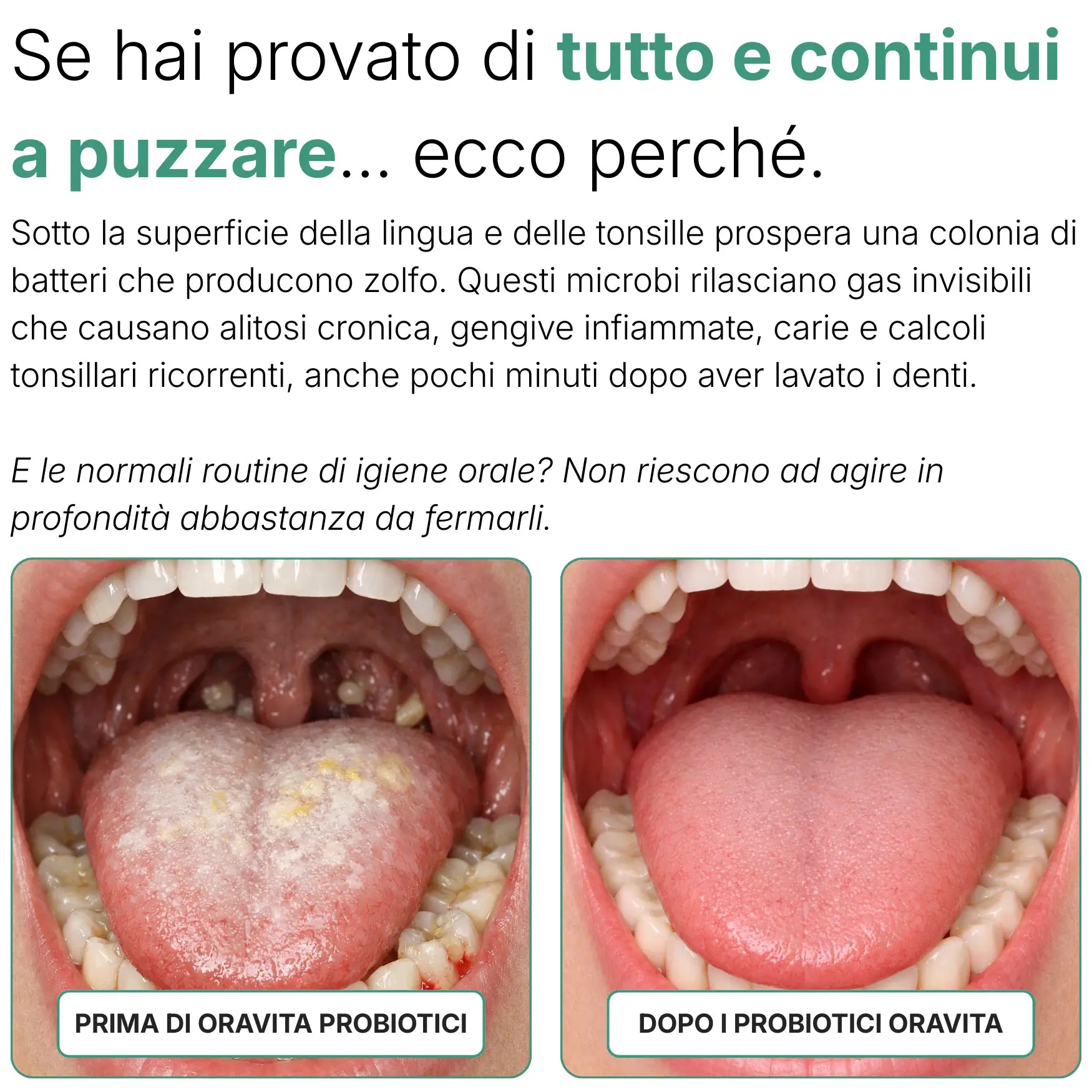 Probiotico orale Oravita